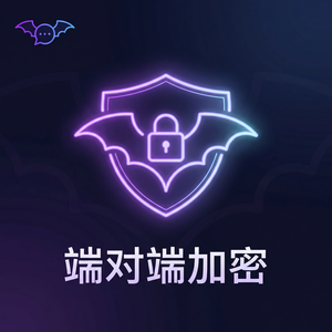 蝙蝠聊天官网 - 蝙蝠聊天软件TLSSSL协议应用